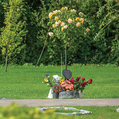 Memorial Rose Beds